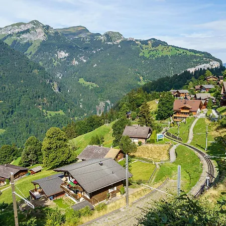 Krokus 6 * Wengen